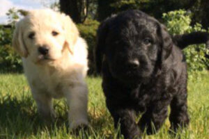 900x600-Bertha 900x600-Bertha