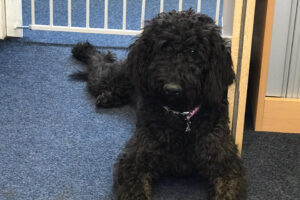 900x600-Bertha1 900x600-Bertha1