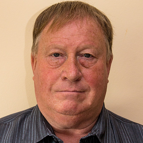 Vice Chair of Trust Board